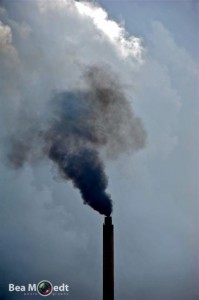 Isla - Smoke - 3 - 20120802